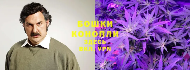 МАРИХУАНА OG Kush  Борзя 